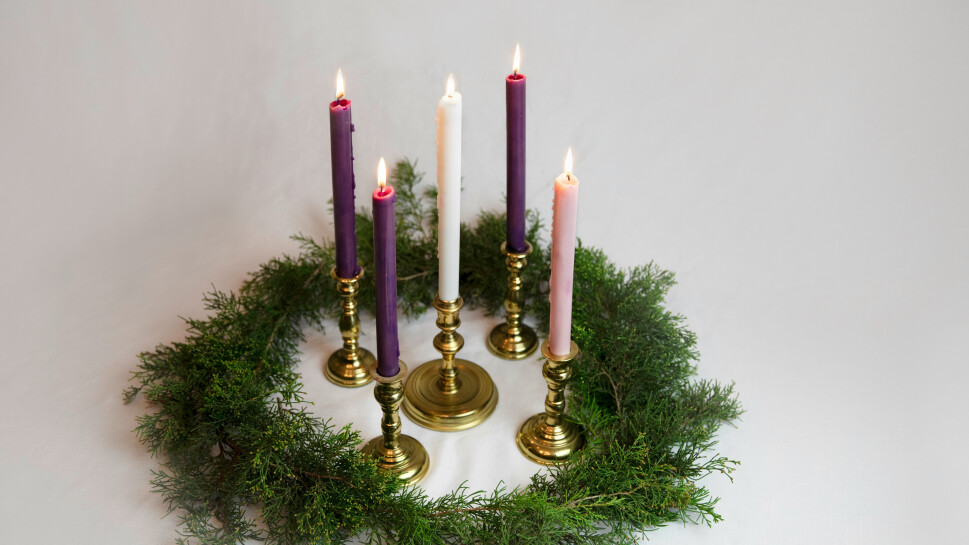 kalisa-veer-7bLgIlTvnXQ-unsplash