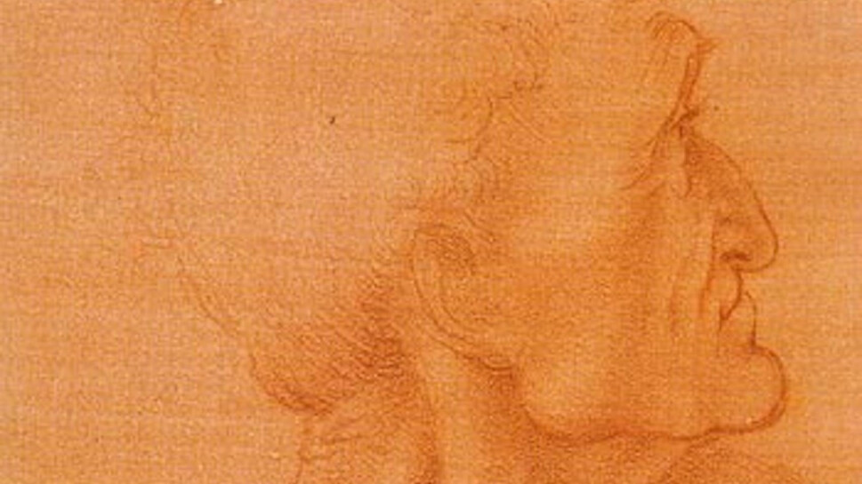 1224205004_large-image_leonardo011lg