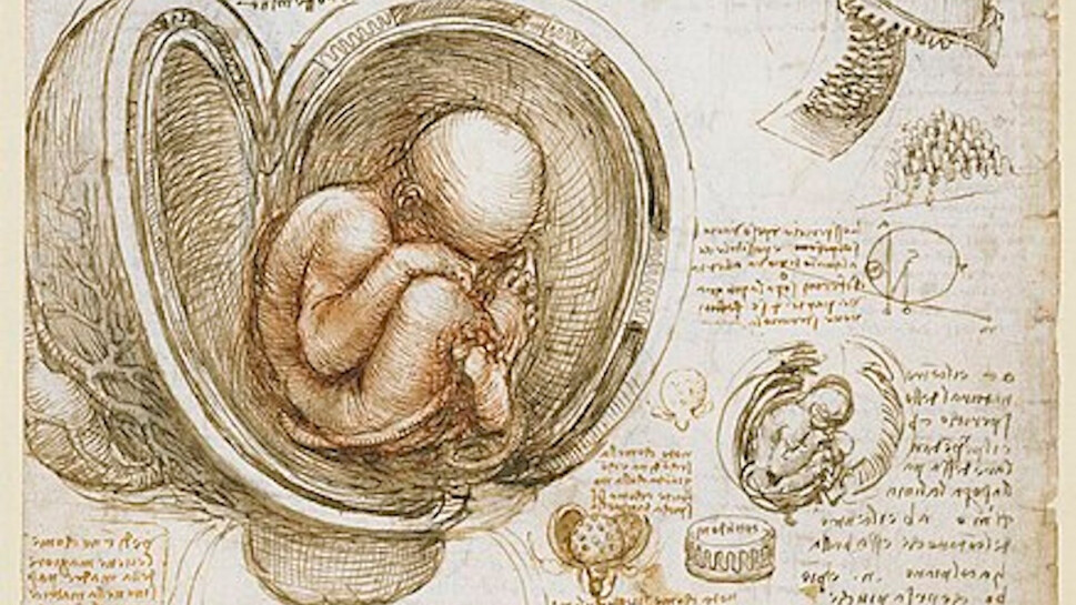 jesus.net-da-vinci-feutus-schilderij