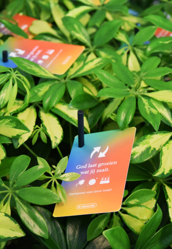 8_2025-11-01 15.41.54