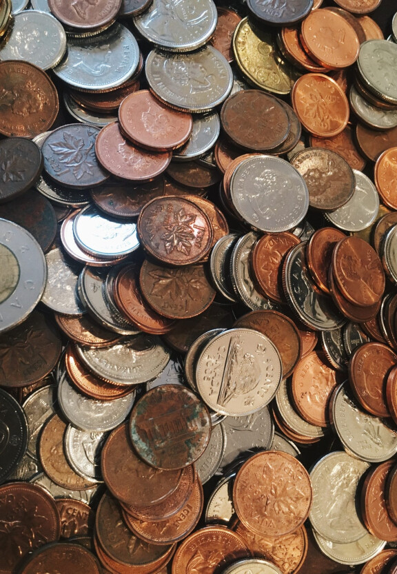 Woman reading the bible